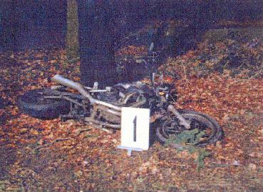 Detail of the burned bike against a tree