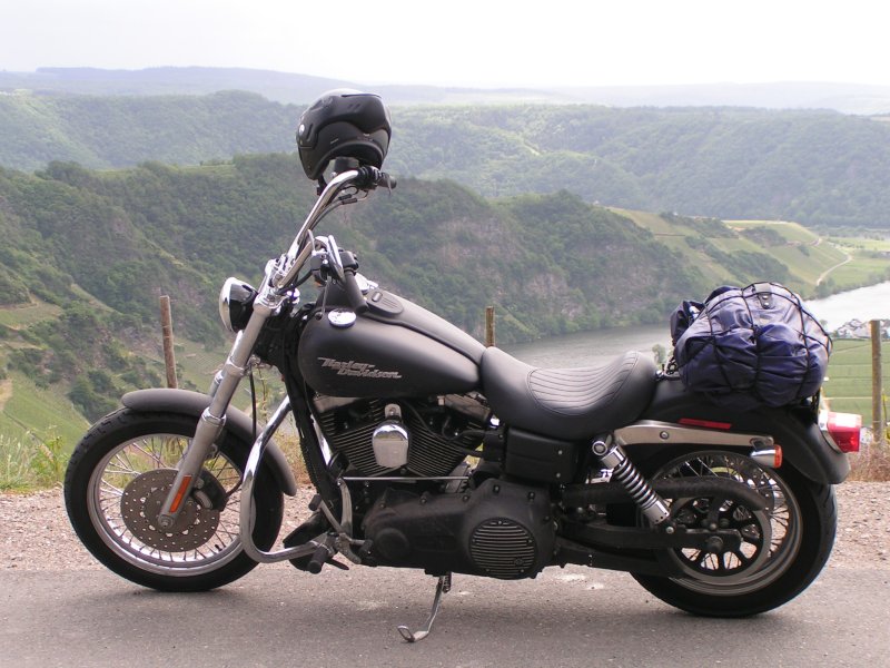 Street Bob in front of the river Mosel (Germany)